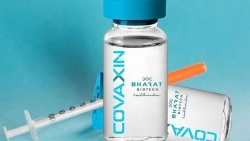 Covaxin - vaccine bản địa đầu tiên của Ấn Độ công bố hiệu quả tổng thể gần 80%