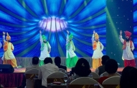 Khai mạc Liên hoan hữu nghị nhân dân Việt Nam - Ấn Độ năm 2019