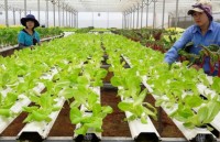 Công nghệ cao – giải pháp cho biến đổi khí hậu