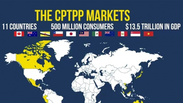 Hỏi đáp về CPTPP: Những điều cần biết về Hiệp định Đối tác Toàn diện và Tiến bộ xuyên Thái Bình Dương