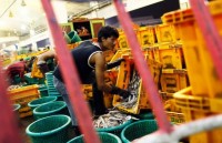 Thái Lan, Malaysia và Singapore: Điểm đến của lao động di cư ASEAN