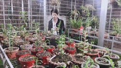 Nguyễn Văn Nam: Ông chủ vườn lan đam mê làm từ thiện