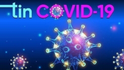 Cập nhật Covid-19 ngày 4/8: Toàn cầu vượt 200 triệu ca bệnh; Mỹ tăng sốc hơn 100.000 ca; Hiệu quả của vaccine Pfizer, AstraZeneca và Coronavac