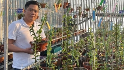 Diệp Minh Tuyền: Đến với hoa lan rất tình cờ nhưng lại là đam mê lớn