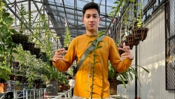 Ông chủ vườn lan 9X Trần Hồ Quang và niềm đam mê hoa phong lan