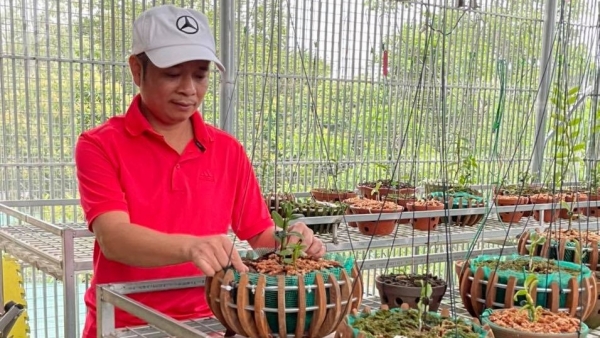 Thầy giáo trẻ Tuấn Bùi và hành trình chinh phục loài lan vương giả