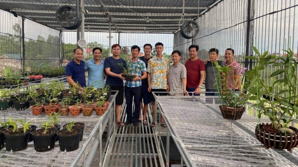 Ông chủ vườn lan 9X Trần Vinh và niềm đam mê với hoa phong lan