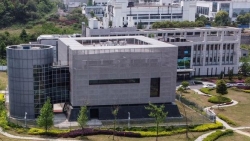 Nguồn gốc Covid-19: Mỹ công bố thêm thông tin quy trách nhiệm cho Trung Quốc