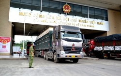 Xuất khẩu 287 tấn, nhập khẩu 877 tấn nông sản qua cửa khẩu Lào Cai trong 3 ngày đầu năm Nhâm Dần