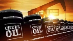 Mỹ tiếp tục công bố trừng phạt diện rộng với Nga, Moscow tìm Ấn Độ 'đề nghị mua dầu giảm giá'?