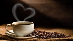 Giá cà phê hôm nay 9/1, Mối lo thiếu nguồn cung trở lại; Xuất khẩu cà phê Việt sang EU sẽ khởi sắc nhờ lợi thế