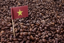 Giá cà phê hôm nay 11/5: Thị trường phái sinh duy trì đà giảm, rủi ro tăng cao; một số thị trường giảm nhập từ Việt Nam