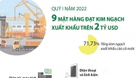Xuất khẩu của Việt Nam ghi nhận mức tăng trưởng cao, 9 ngành hàng thu về ngoại tệ trên 2 tỷ USD