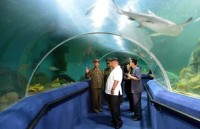 Ông Kim Jong-un muốn xây dựng khu nghỉ dưỡng đẳng cấp thế giới cho người dân