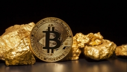 Giá vàng hôm nay 24/5: Bitcoin tháo chạy, vàng chắc chắn tăng? giới đầu tư sẵn sàng chộp thời cơ