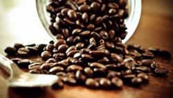 Giá cà phê hôm nay 26/5: Lấy lại 'màu xanh', Yếu tố kỹ thuật đang đẩy giá cà phê đi lên?
