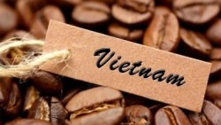 Giá cà phê hôm nay 27/1, Điều chỉnh mạnh trên cả hai sàn, cà phê Việt có cơ hội mở rộng thị phần tại EU