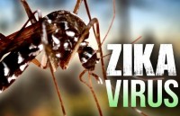 Philippines: Số ca nhiễm virus Zika tiếp tục tăng