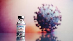 Covid-19 thế giới 11/9: Hơn 4,6 triệu người tử vong; CDC Mỹ có bằng chứng về sức mạnh tiêm chủng; Vaccine Pfizer có thể được tiêm cho trẻ từ 5-11 tuổi
