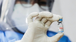 Vaccine Sinopharm: Công bố mới nhất làm rõ ngờ vực và thực tế về tính an toàn, hiệu quả
