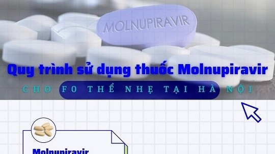 Điều trị F0 tại Hà Nội: Quy trình sử dụng thuốc kháng virus Molnupiravir cho người mắc Covid-19 thể nhẹ