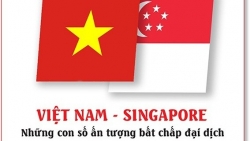 Việt Nam-Singapore: Những con số ấn tượng bất chấp đại dịch