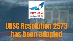 Những điều cần biết về Nghị quyết 2573 do Việt Nam xây dựng vừa được Hội đồng Bảo an thông qua