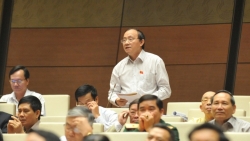 Hướng tới bầu cử đại biểu Quốc hội khóa XV: Khi nhà ngoại giao làm ‘nghề nghị sỹ’