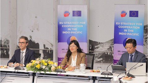 Đặc phái viên EU: Việt Nam có vai trò quan trọng trong Chiến lược Ấn Độ Dương-Thái Bình Dương