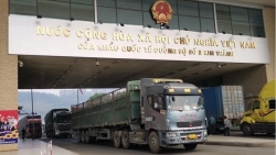 Chính thức khôi phục thông quan trái cây và hàng đông lạnh tại cửa khẩu Hà Khẩu - Kim Thành II