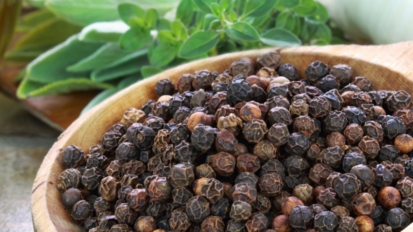 Giá tiêu hôm nay 8/3: Trong nước tăng nhẹ, cao nhất 61.000đ/kg; kinh nghiệm trồng tiêu hữu cơ năng suất cao