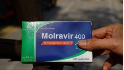 Khi nào bệnh nhân Covid-19 nên dùng Molnupiravir?