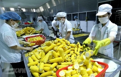 Xuất khẩu ngày 4-6/12: Nông, thủy sản lại 'gặp khó' tại thị trường Trung Quốc; vải Việt đóng hộp chính thức có mặt tại siêu thị Pháp