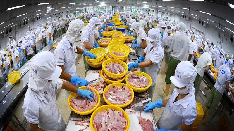 Xuất khẩu thủy sản - Điểm sáng trong quan hệ thương mại Việt Nam-Australia
