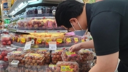 Xuất khẩu ngày 1-4/6: Vải thiều Việt Nam ‘đổ bộ’ chuỗi siêu thị lớn ở Singapore, nhập khẩu thịt lợn tươi và ô tô tăng vọt
