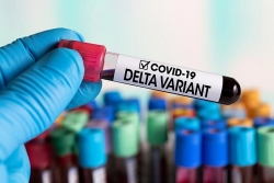 Covid-19: Biến thể Delta của virus SARS-CoV-2 sẽ nhanh chóng ‘thống trị’, là mối đe dọa lớn nhất với Mỹ