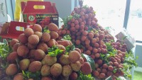 ‘Gồng mình’ trong cơn ‘bão giá’, doanh nghiệp Việt tận dụng lợi thế FTA, năng động tìm hướng đi mới