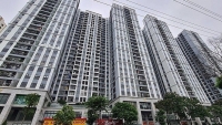 Bất động sản mới nhất: Giá chung cư Hà Nội cao gấp đôi TP.HCM, dòng tiền trở lại khu vực phía Nam, địa ốc công nghiệp sôi động
