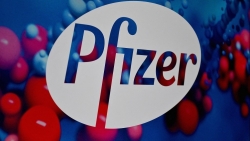Pfizer công bố thuốc trị Covid-19 làm giảm 89% nguy cơ nhập viện hoặc tử vong