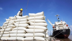 Xuất khẩu ngày 6-9/4: Kim ngạch hàng Việt sang Mỹ và Trung Quốc đều tăng hơn 32%; lý do xuất khẩu gạo giảm 30,4%