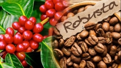 Xuất khẩu ngày 22-25/12: Cơ hội cho cà phê Robusta Việt Nam, xuất khẩu thủy sản năm 2021 kỳ vọng tăng 10%; gỡ mối lo dệt may vào EU