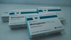 Khuyến cáo thuốc điều trị Covid-19 Molnupiravir ảnh hưởng tới sức khỏe sinh lý nam giới