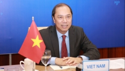 Thứ trưởng Ngoại giao Nguyễn Quốc Dũng hội đàm với Quốc vụ khanh Bộ Ngoại giao Đức