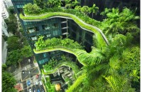 Phát triển không gian xanh cho các đô thị trên thế giới