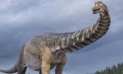 Phát hiện loài khủng long lớn nhất từng tồn tại trên Trái đất