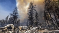 Hàng nghìn ha rừng bị thiêu rụi trong vụ hỏa hoạn cực lớn tại California, Mỹ