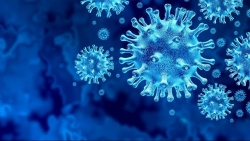'Tổ tiên' của virus corona đã tồn tại cách đây 21 nghìn năm