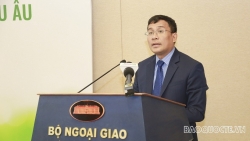 Đẩy mạnh xuất khẩu rau quả Việt Nam sang Liên minh châu Âu