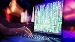 Các chuyên gia tìm lý do tại sao tin tặc hack các trang web