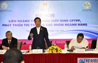 (Trực tuyến) CPTPP mở ra cơ hội rất lớn cho các ngành hàng xuất khẩu chủ lực Việt Nam